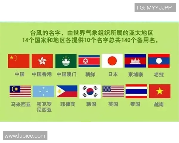 揭秘足球球星姓名的由来与背后的故事：他们名字的独特意义与起源