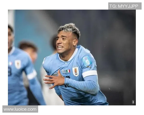 乌拉圭足球巨星盘点 塔巴雷斯时代到苏亚雷斯的传奇之路