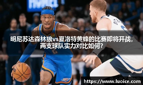 明尼苏达森林狼vs夏洛特黄蜂的比赛即将开战，两支球队实力对比如何？