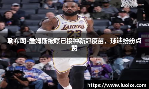星空.综合体育官网