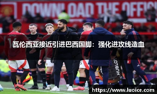 星空综合(中国)官方网站